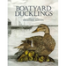 Boatyard Ducklings