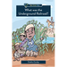 What Was the Underground Railroad?