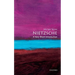 Nietzsche: A Very Short Introduction