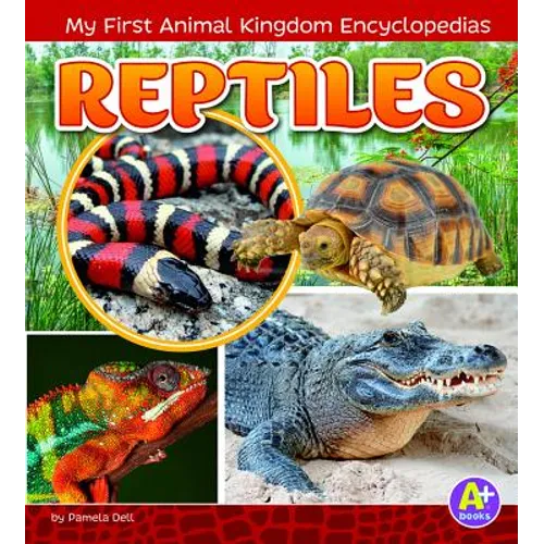Reptiles