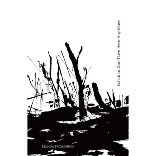 Echidnas Don't Live Here Any More: Poems of loss and recovery since the Black Summer bushfires