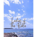 Ladies of the Bible: Bible studies based on the lives of women in the bible