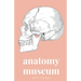 Anatomy Museum