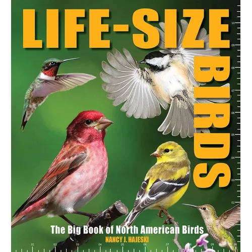 Life-Size Birds: The Big Book of North American Birds