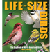 Life-Size Birds: The Big Book of North American Birds