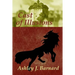 Cast of Illusions