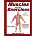Muscles And Their Exercises