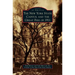 New York State Capitol and the Great Fire of 1911