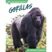 Gorillas