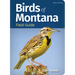 Birds of Montana Field Guide