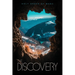 The Discovery