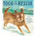 Togo to the Rescue: How a Heroic Husky Saved the Lives of Children in Alaska