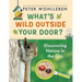 What's Wild Outside Your Door?: Discovering Nature in the City