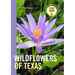 Wildflowers of Texas
