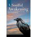 A Soulful Awakening: One Woman's Extraordinary Journey From Life to Death to a Soulful Awakening
