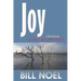 Joy: A Folly Beach Christmas Mystery