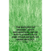 The Biology of Grasses - With Information on the Roots, Stems, Cells and Other Aspects of Grass Biology