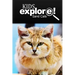 Sand Cats - Kids Explore: Animal books nonfiction - books ages 5-6