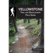 Yellowstone Trail and Backcountry Field Guide