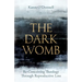 The Dark Womb: Re-Conceiving Theology Through Reproductive Loss