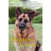 A Healing Justice