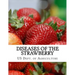Diseases of the Strawberry: A Guide For The Strawberry Grower