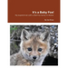 It's a Baby Fox!