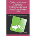 Guided edition for Learners: The Curious Incident of the Dog at Night-Time: Abridged & edited with notes and integrated activities
