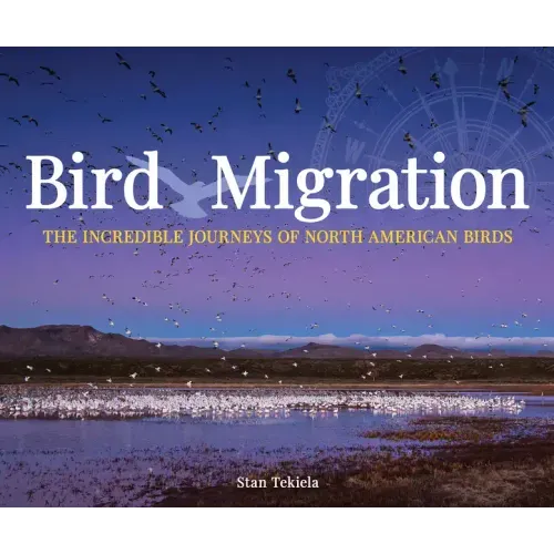 Bird Migration: The Incredible Journeys of North American Birds
