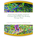 Improving the Quality of Life for Veterans with PTSD: The Healing Therapy Way!