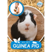 My Pet Guinea Pig