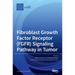 Fibroblast Growth Factor Receptor (FGFR) Signaling Pathway in Tumor