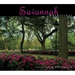 Savannah Impressions