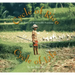 Cycle of Rice, Cycle of Life: A Story of Sustainable Farming