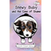 Stewy Baby and the Cone of Shame