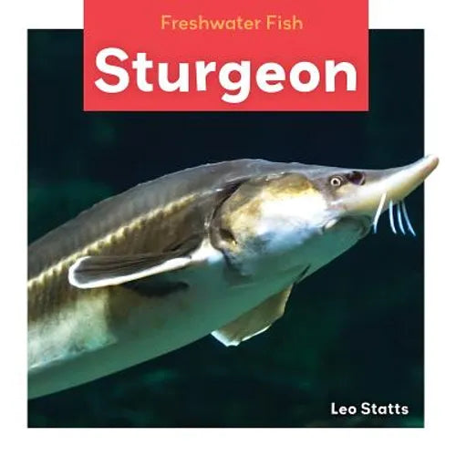 Sturgeon