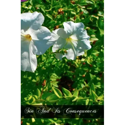 Sin And Its Consequences