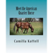 Meet the American Quarter Horse