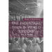 The Industrial Turn in World History