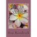 Over 500 Healing Scriptures
