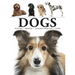 Dogs