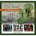 The Irish in New Orleans