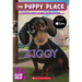 Ziggy (the Puppy Place #21)