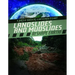 Landslides and Mudslides Reshape Earth!