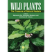 Wild Plants: The Treasure of Natural Healers