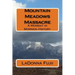 Mountain Meadows Massacre