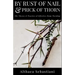 By Rust of Nail & Prick of Thorn: The Theory & Practice of Effective Home Warding
