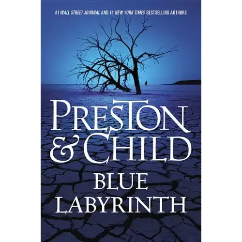 Blue Labyrinth