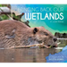 Bringing Back Our Wetlands