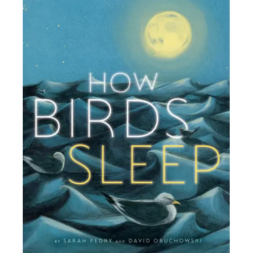 How Birds Sleep